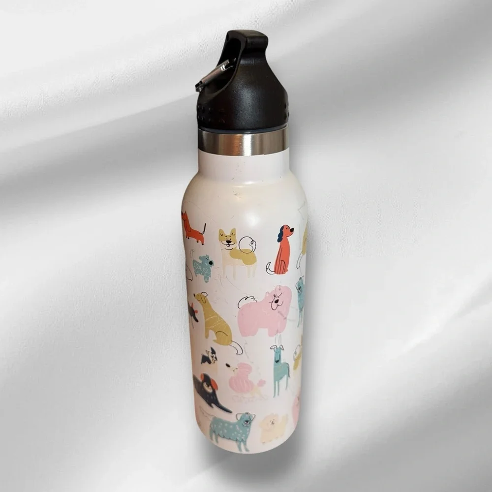 Modern Expressions Water Bottle with‎ Collapsible Bowl for Dogs NEW